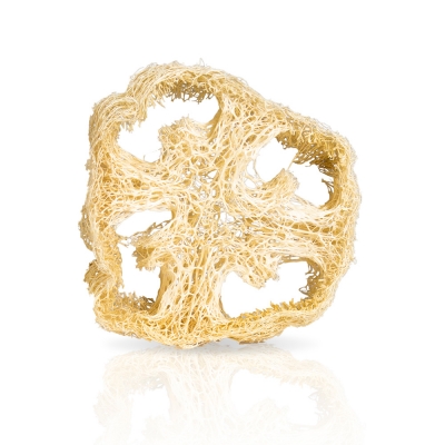 Portasapone vegetale luffa per cosmetico solido