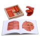 Libro e Colori rosso Kapla