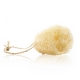 Spugna piatti vegetale luffa