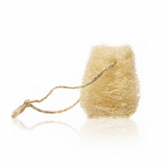 Spugna piatti vegetale luffa